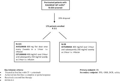 CAVE-2 (Cetuximab-AVElumab) mCRC: A Phase II Randomized Clinical Study of the Combination of Avelumab Plus Cetuximab as a Rechallenge Strategy in Pre-Treated RAS/BRAF Wild-Type mCRC Patients